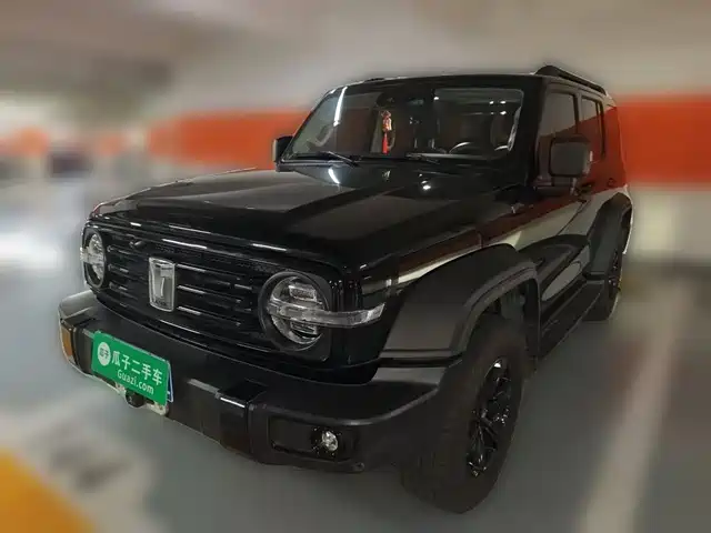 2021 TANK 300