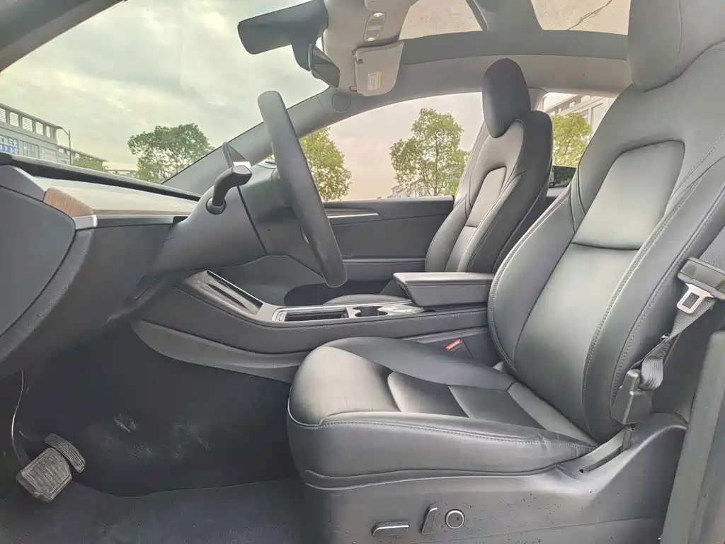 Tesla Model Y — миниатюра 22