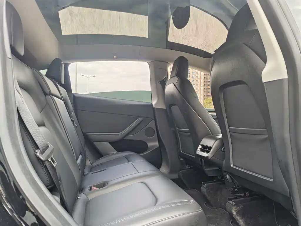 Tesla Model Y — миниатюра 19