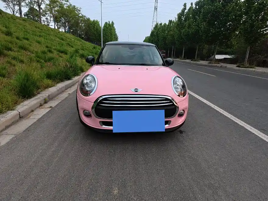 Mini Mini 2016