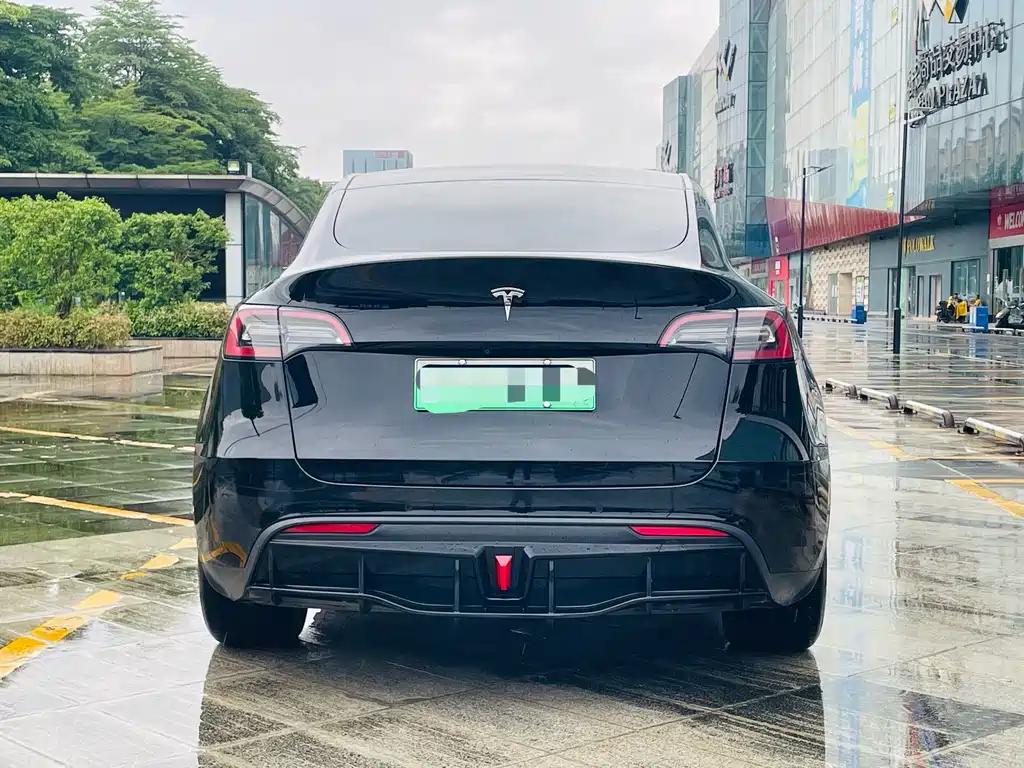 Tesla Model Y — миниатюра 5