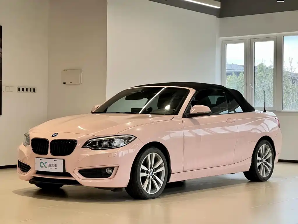 BMW 2 Series (Import) 2015
