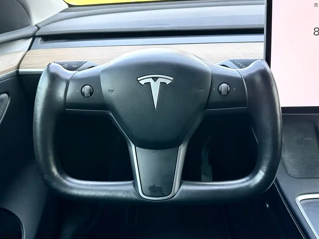 Tesla Model Y — миниатюра 12