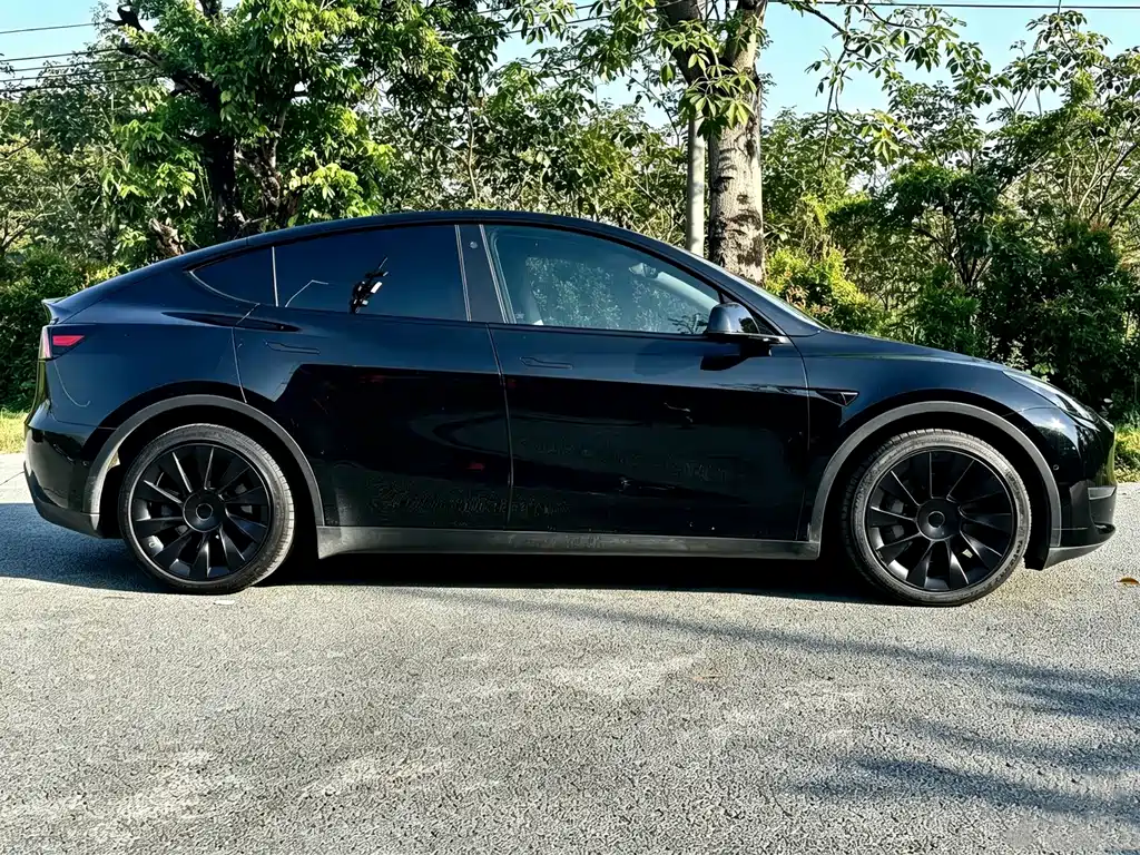 Tesla Model Y — миниатюра 7