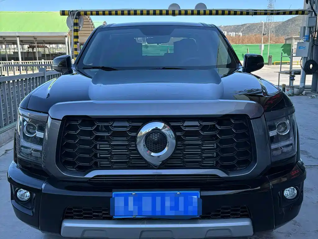 Great Wall King Kong Pao — миниатюра 2