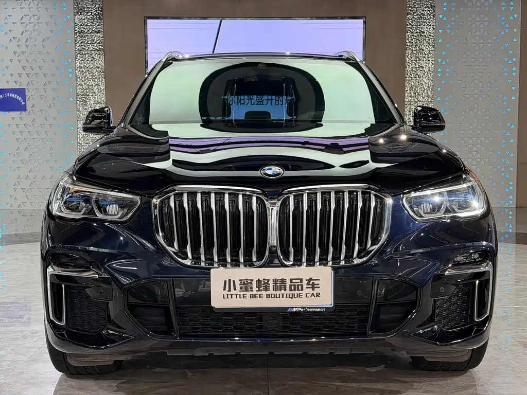 BMW X5 — миниатюра 2
