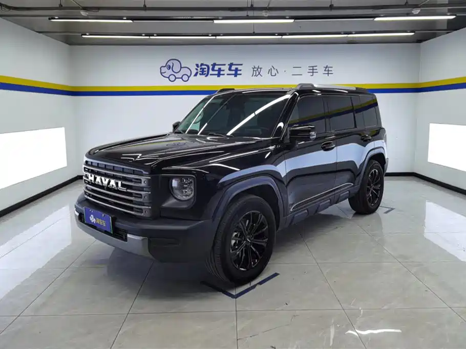 Haval Menglong New Energy 2024