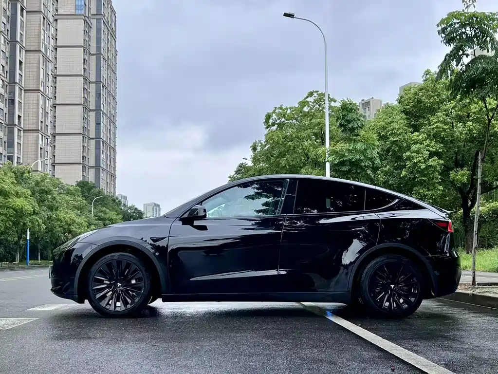 Tesla Model Y — миниатюра 5