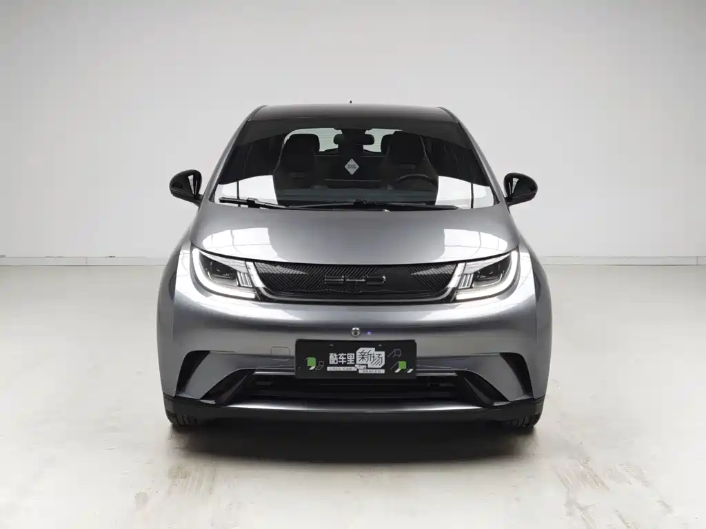 BYD Dolphin — миниатюра 2