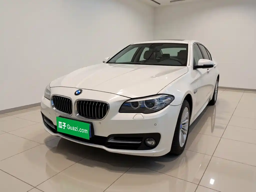BMW 5 Series 5 2014 525Li Lead