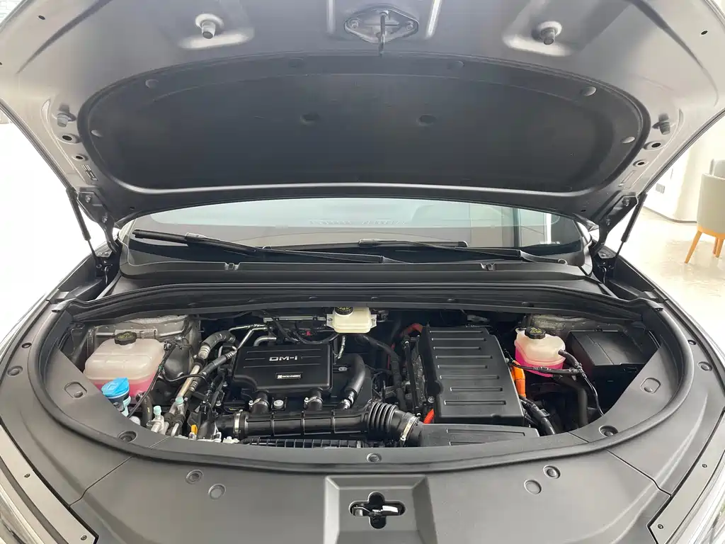 BYD L DM-i — миниатюра 13