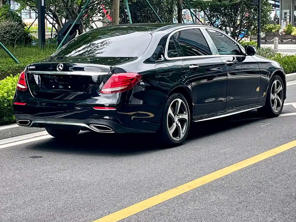 Mercedes-Benz E-Class E 300 L Luxury Type, фото 13