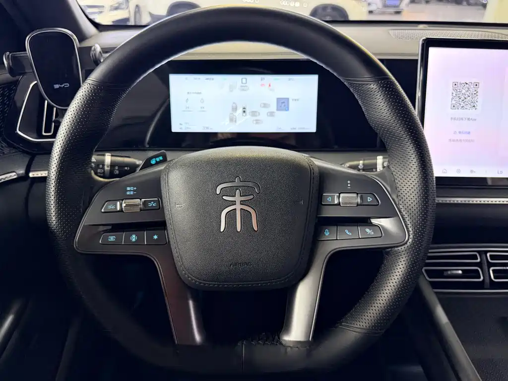 BYD Pro New Energy - фото 4