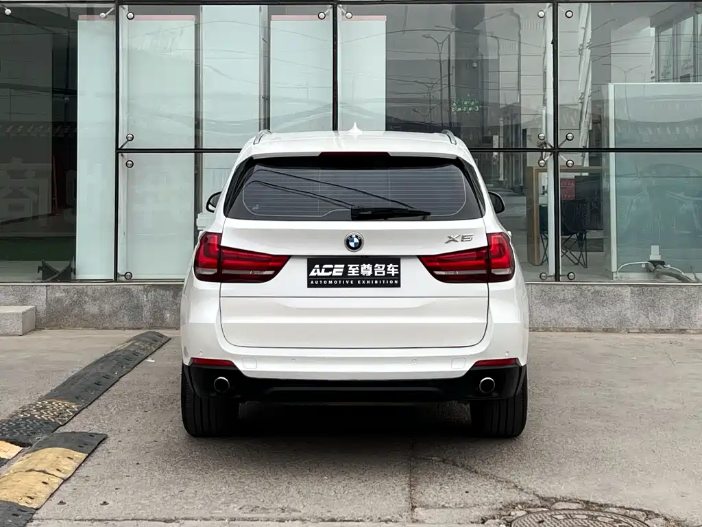 BMW X5 (Import) — миниатюра 5