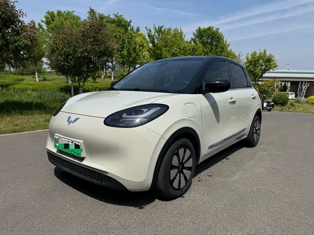 Wuling Bingo 2023