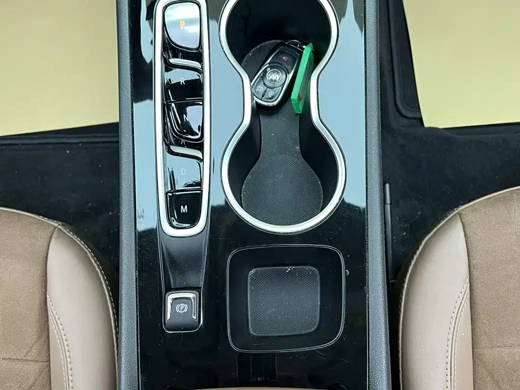 Buick Regal — миниатюра 21
