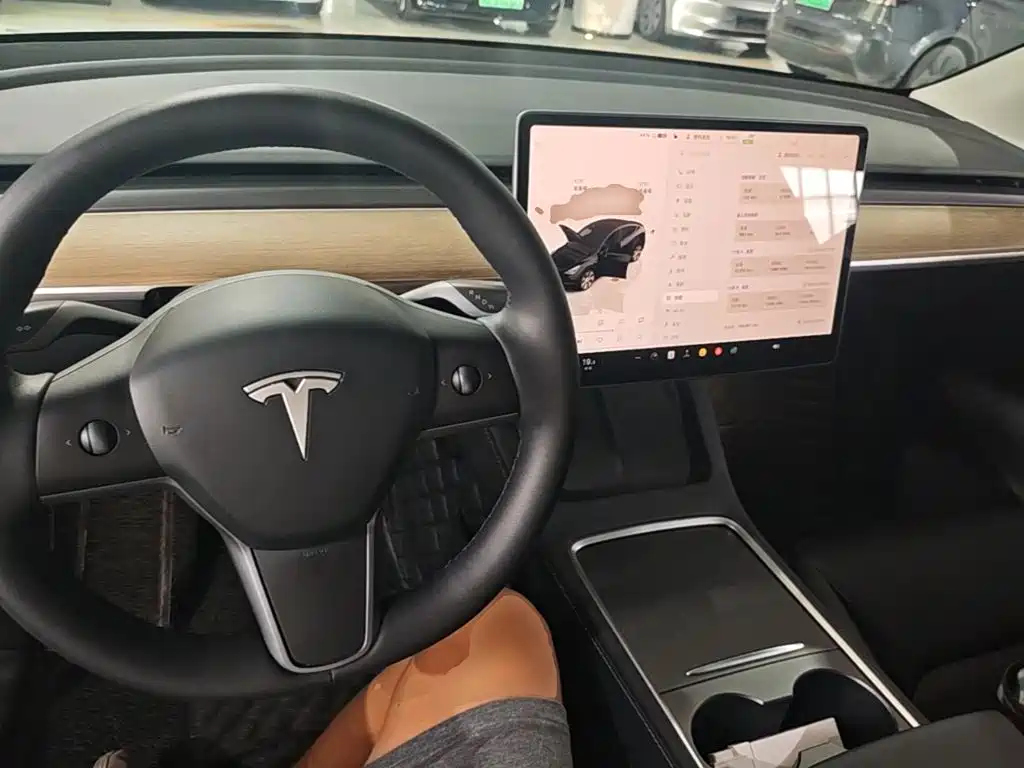 Tesla Model Y — миниатюра 10