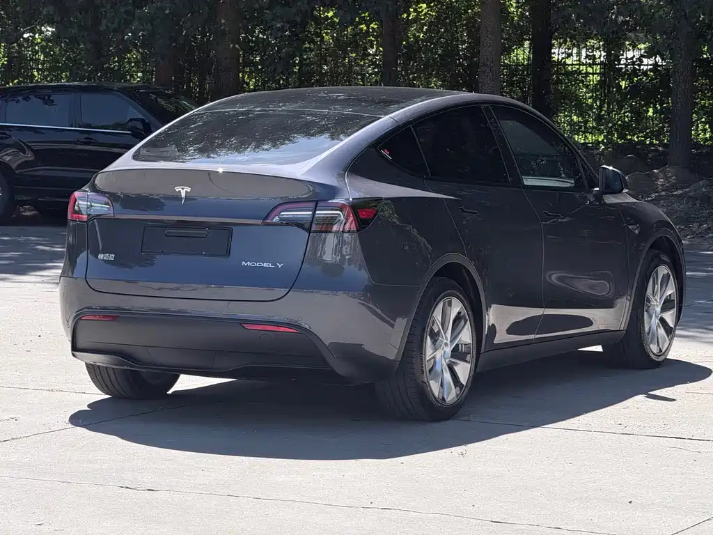 Tesla Model Y — миниатюра 6