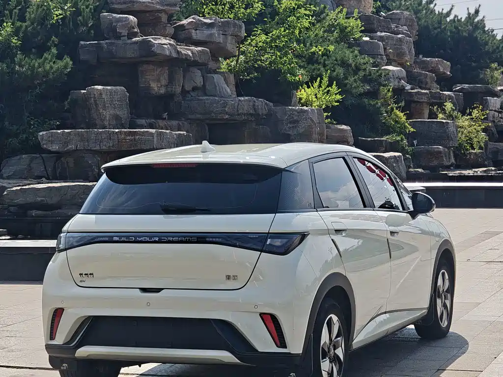 BYD Dolphin — миниатюра 6