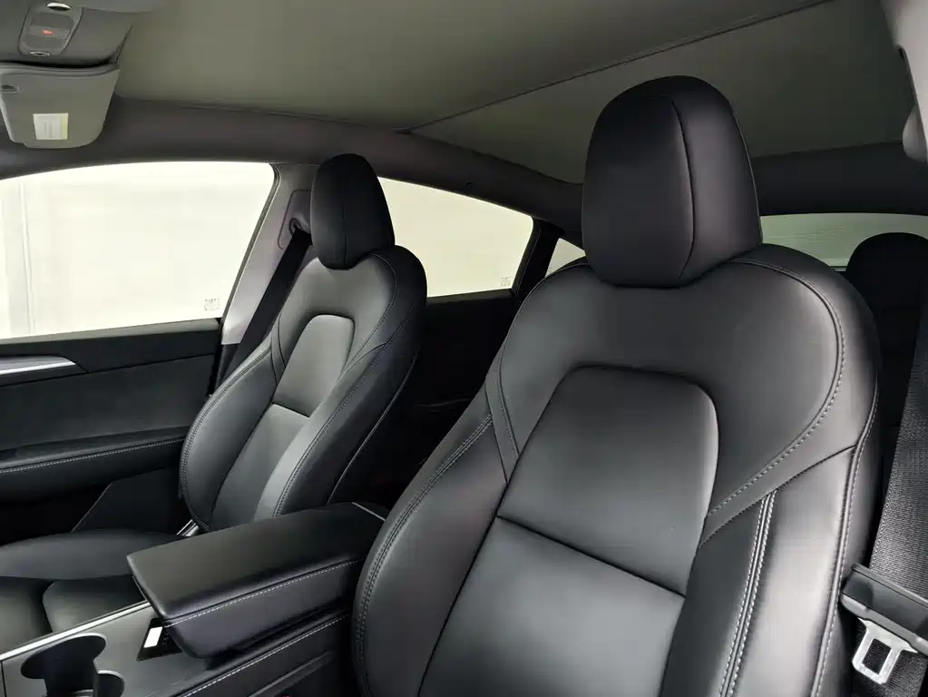 Tesla Model Y — миниатюра 6