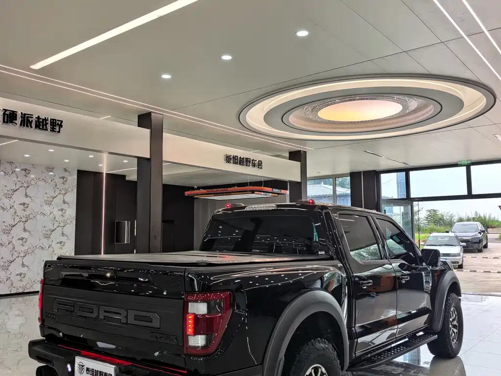 Ford F-150 Raptor — миниатюра 9