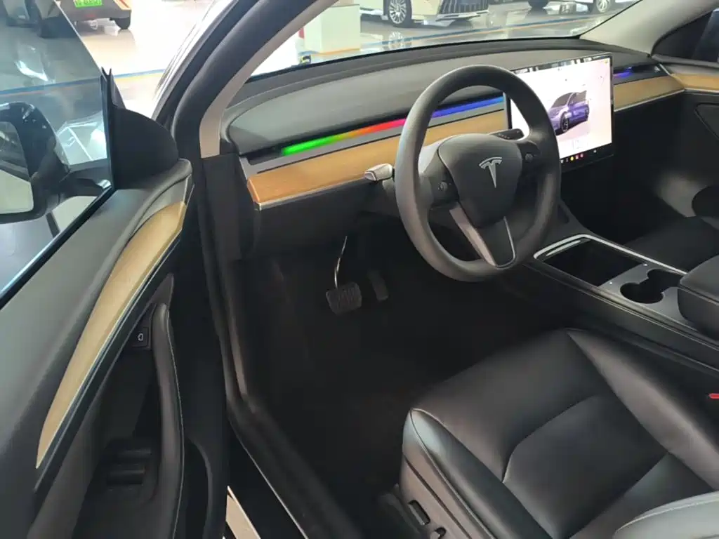 Tesla Model Y — миниатюра 16