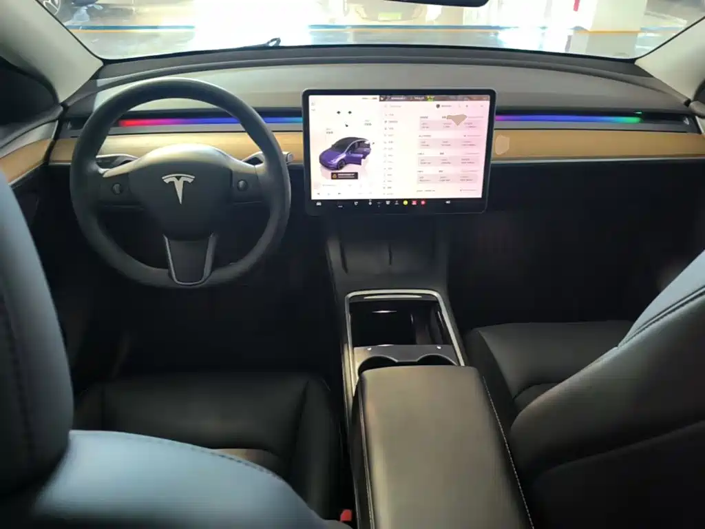 Tesla Model Y — миниатюра 10