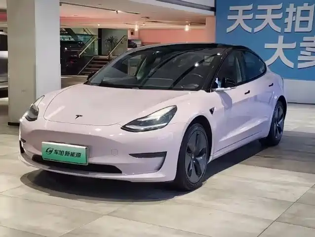 Tesla Model 3 2019