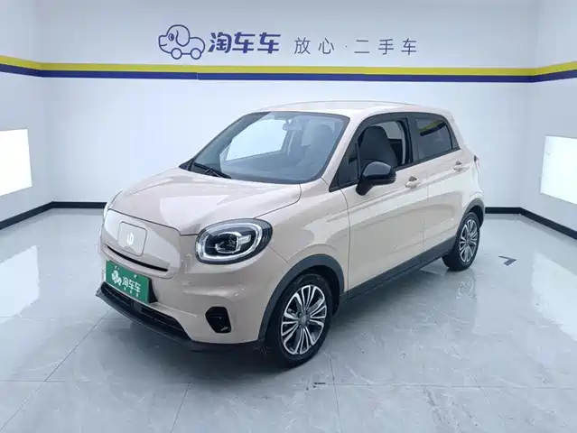 2021 Leapmotor T03