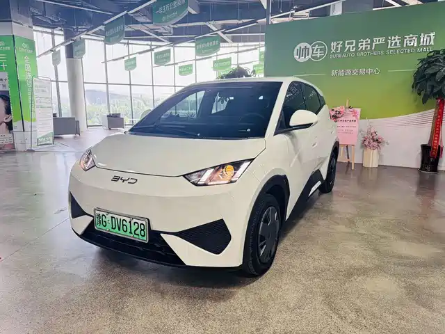 2025 BYD Seagull