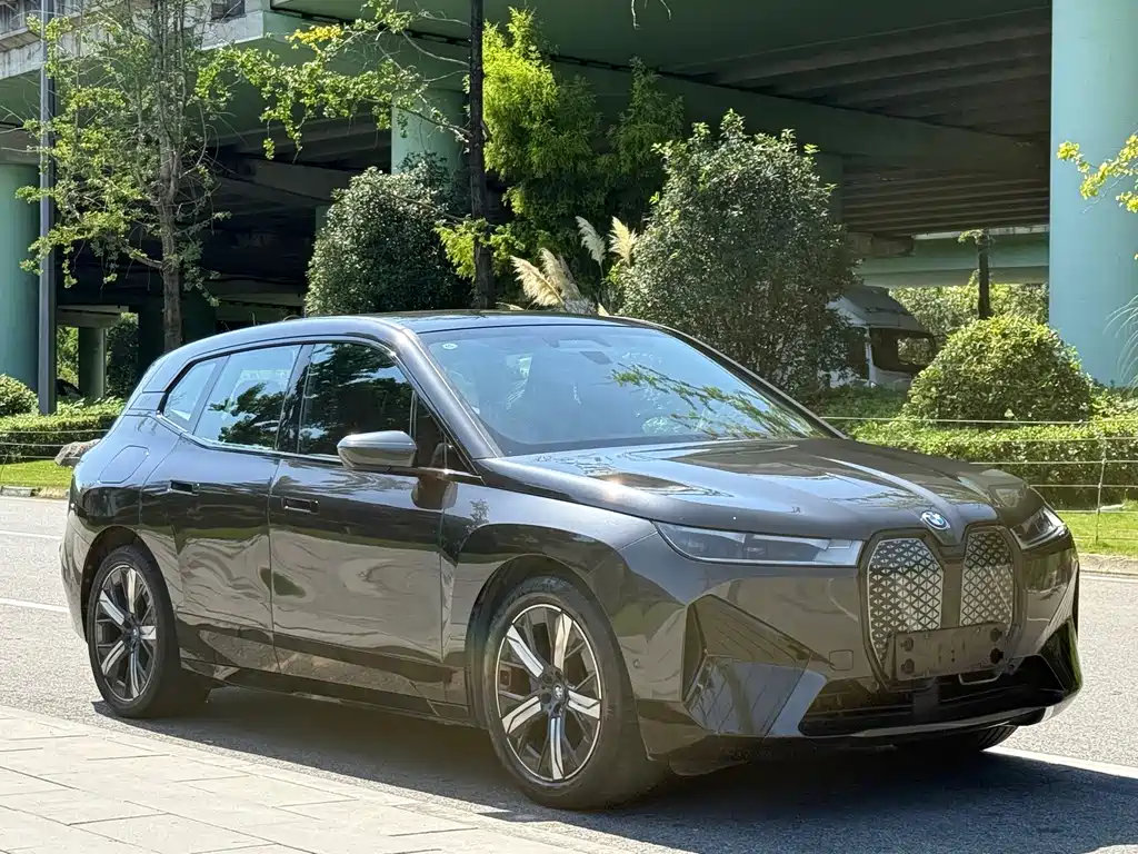 BMW iX — миниатюра 6