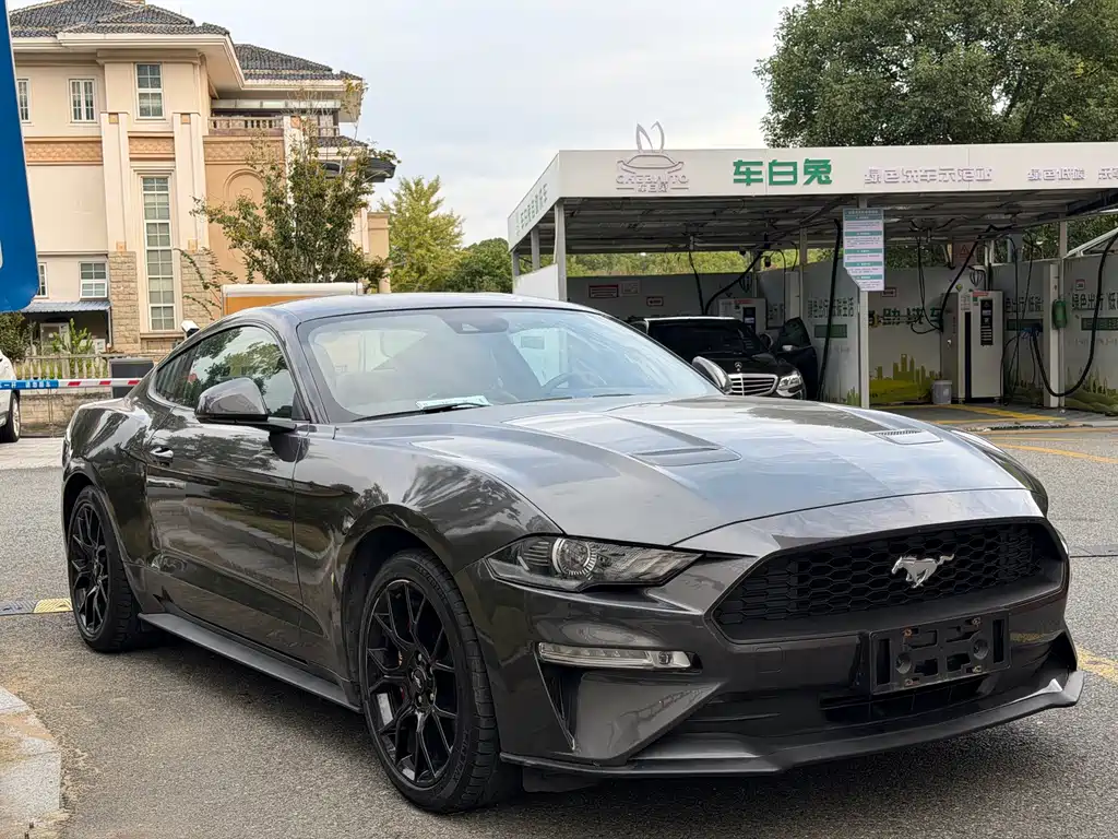 Ford Mustang — миниатюра 3