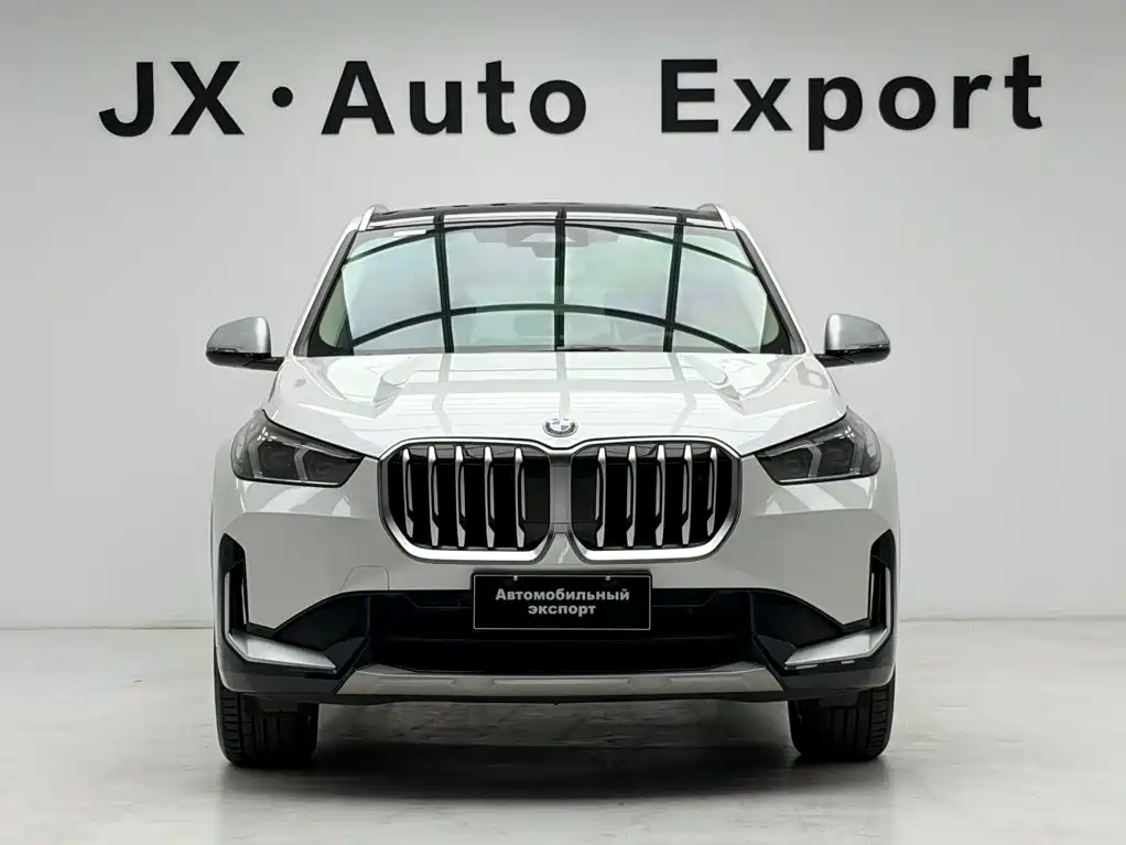 BMW X1 — миниатюра 2