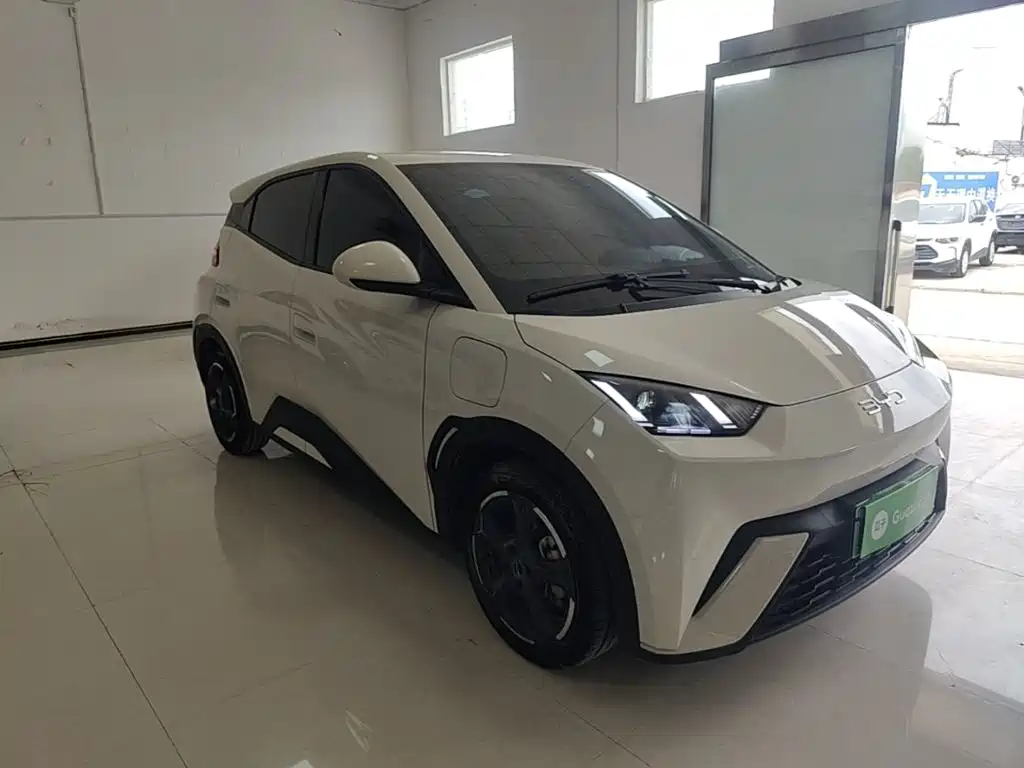 BYD Seagull 2024 405km Flying