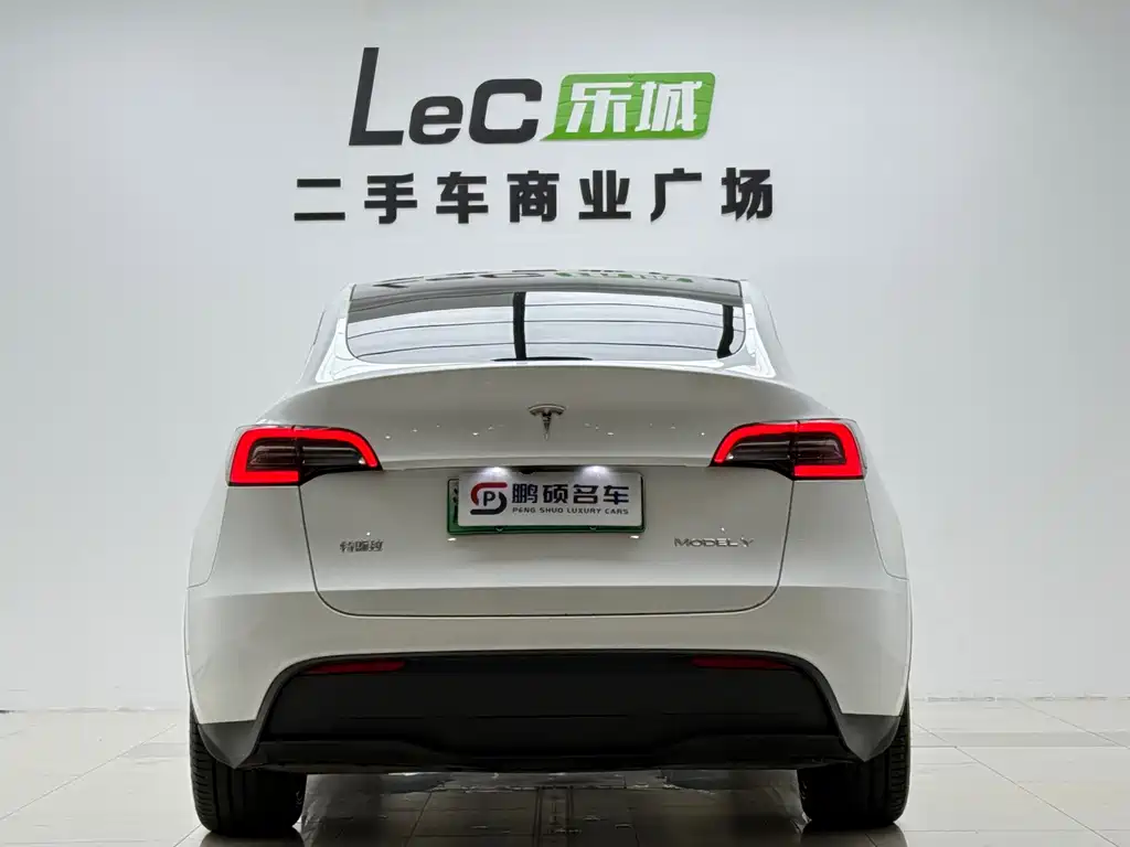 Tesla Model Y — миниатюра 14