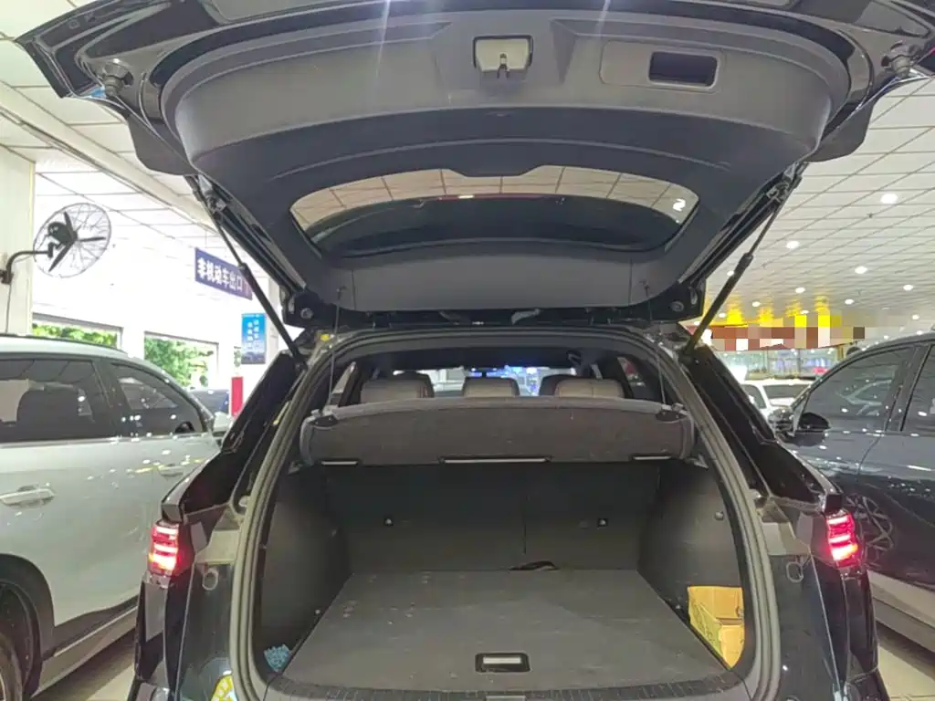 BYD Pro New Energy — миниатюра 19