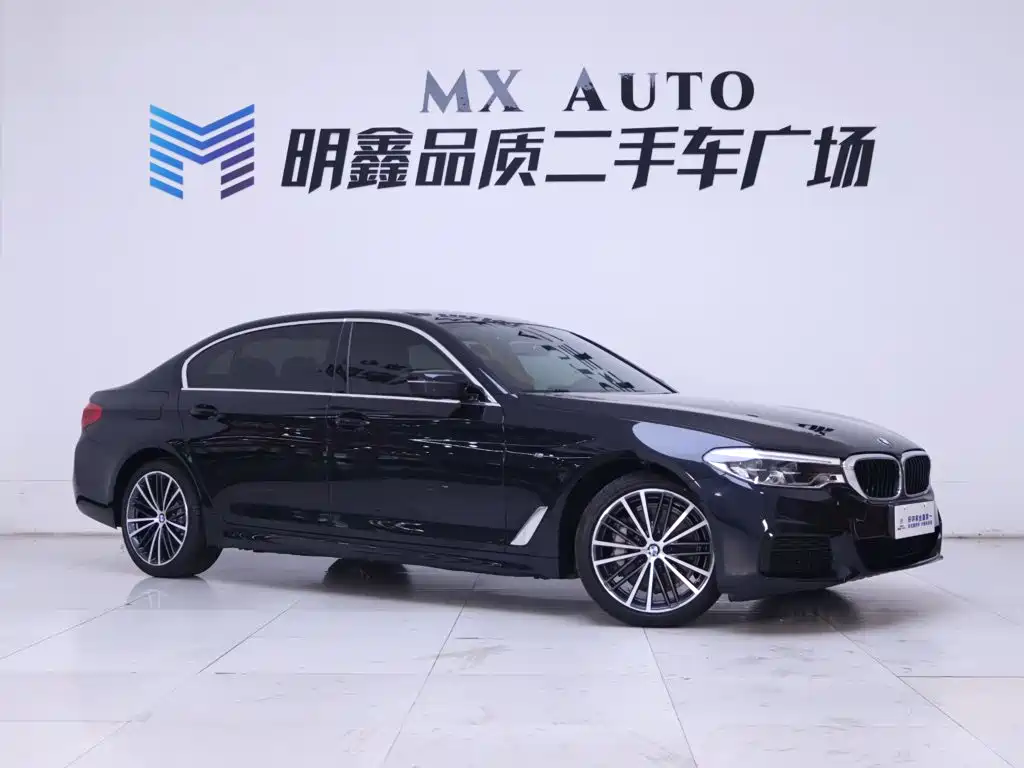 BMW 5 Series — миниатюра 5