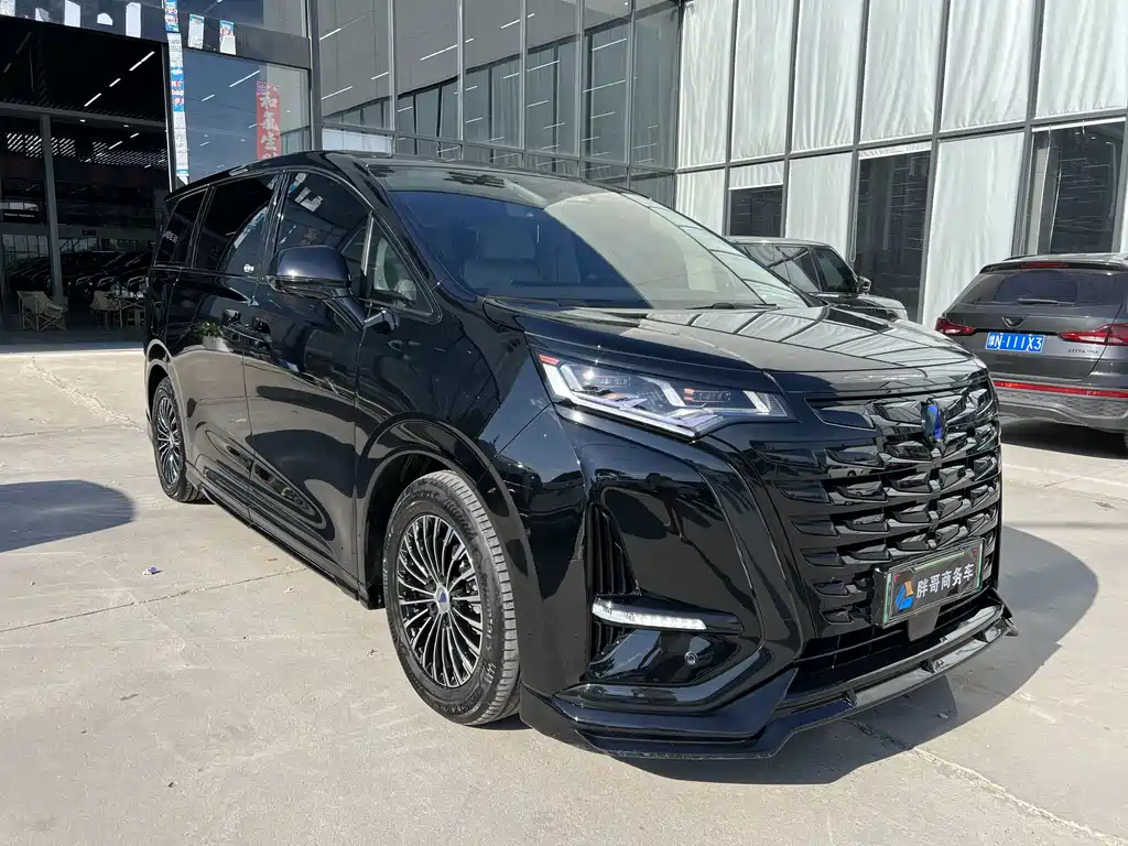 Denza Denza D9 — миниатюра 3