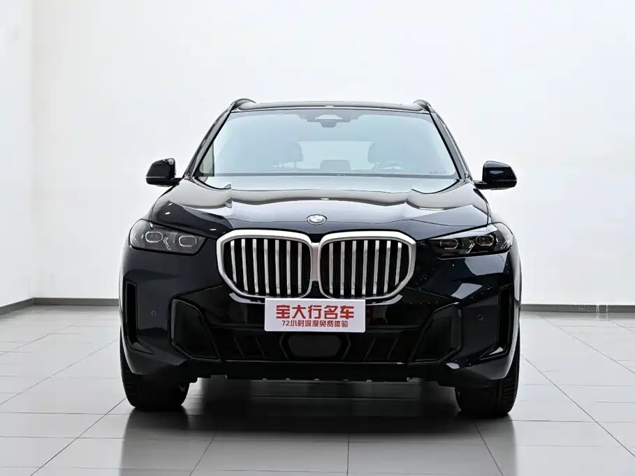 BMW X5 — миниатюра 3
