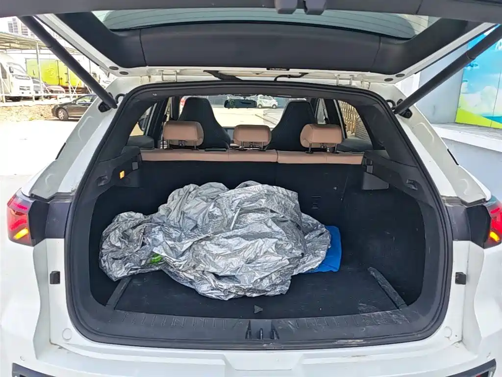 JAC JAC QX PHEV — миниатюра 19