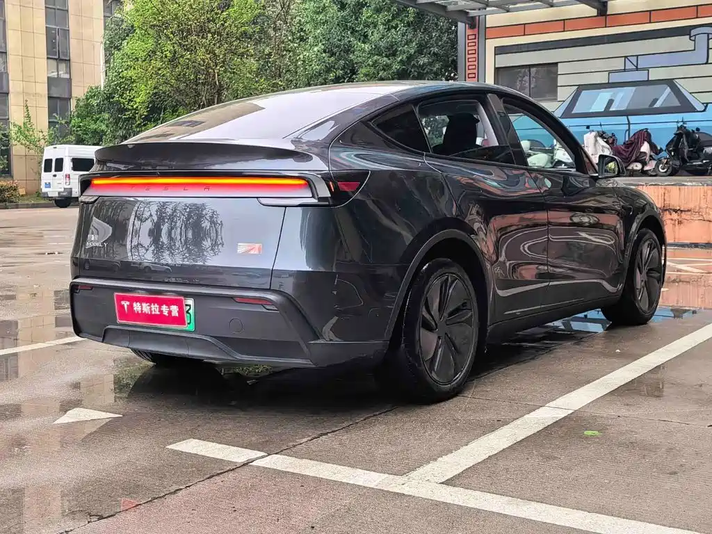 Tesla Model Y — миниатюра 8