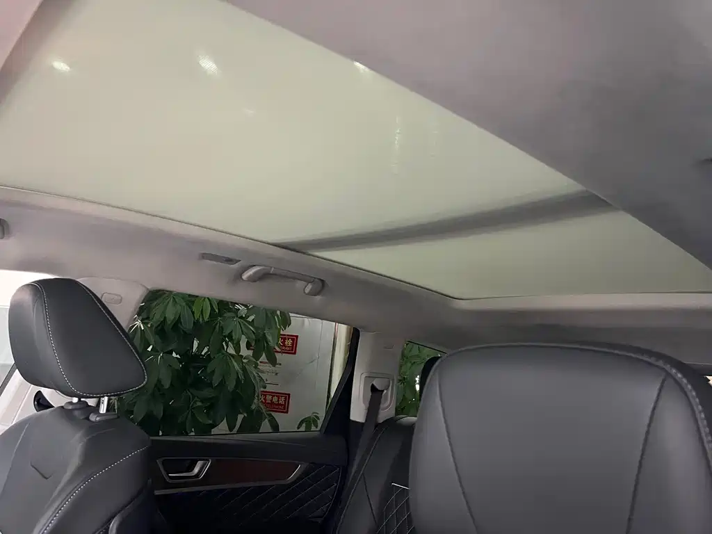 Hongqi Hongqi HS7 — миниатюра 14