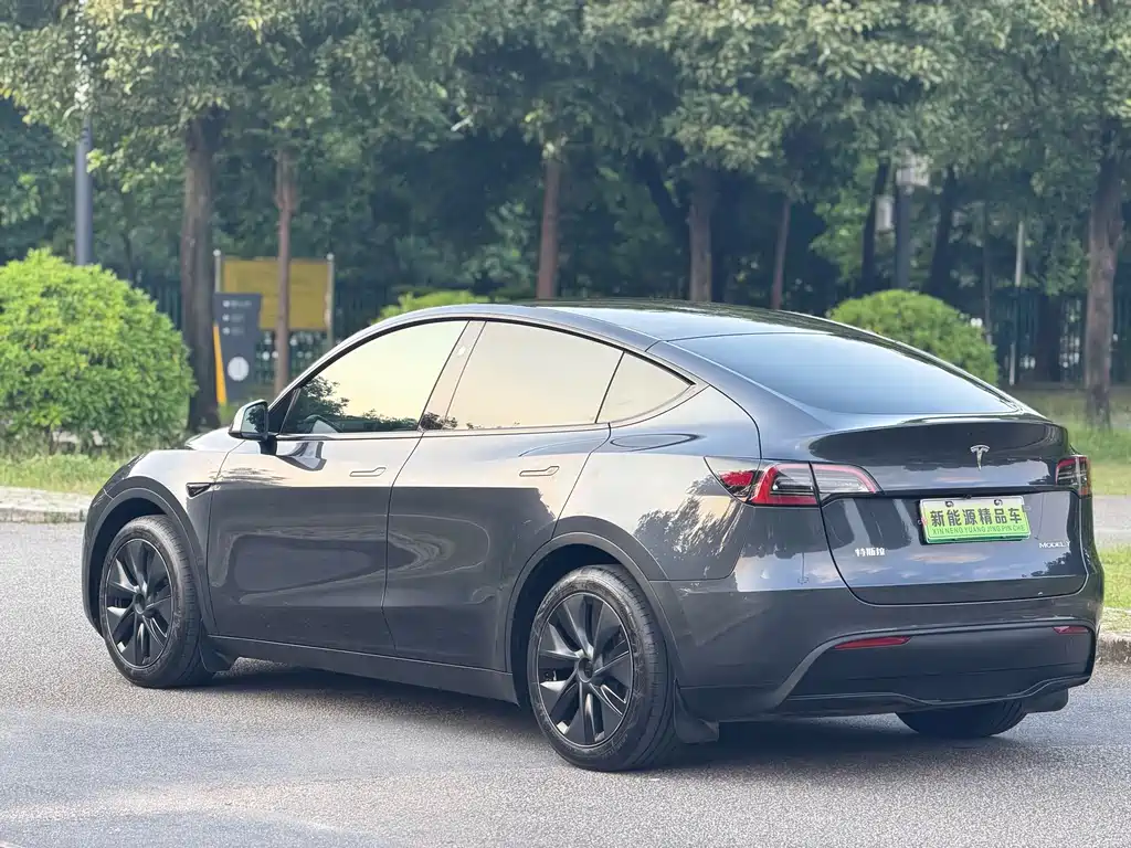 Tesla Model Y — миниатюра 17