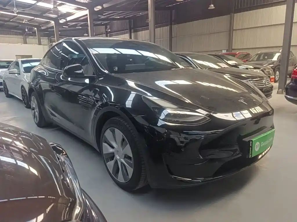 Tesla Model Y — миниатюра 4