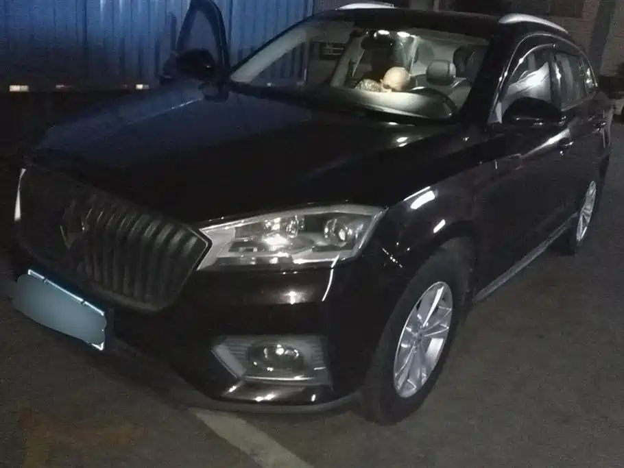 Купить Borgward BX7