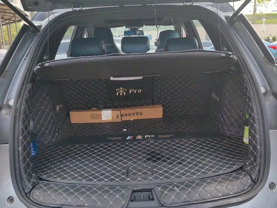 BYD Pro — миниатюра 4
