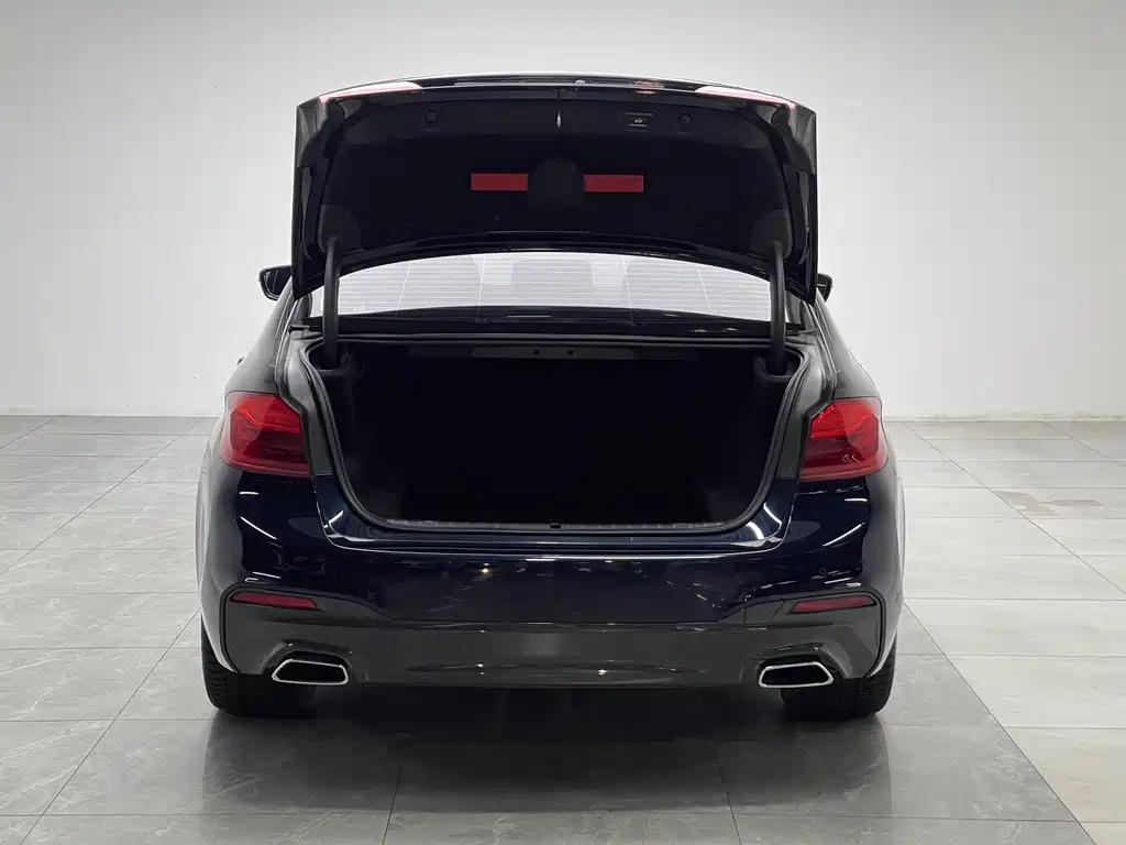 BMW 5 Series 5 2020 530Li Lead M Sport