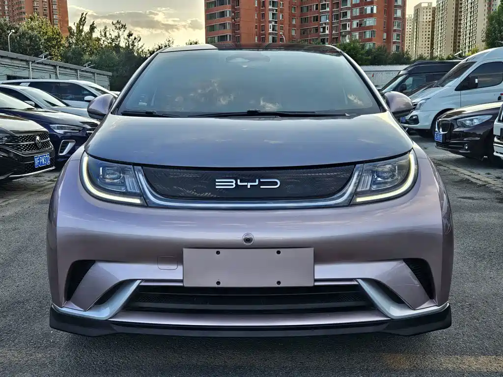 BYD Dolphin — миниатюра 5