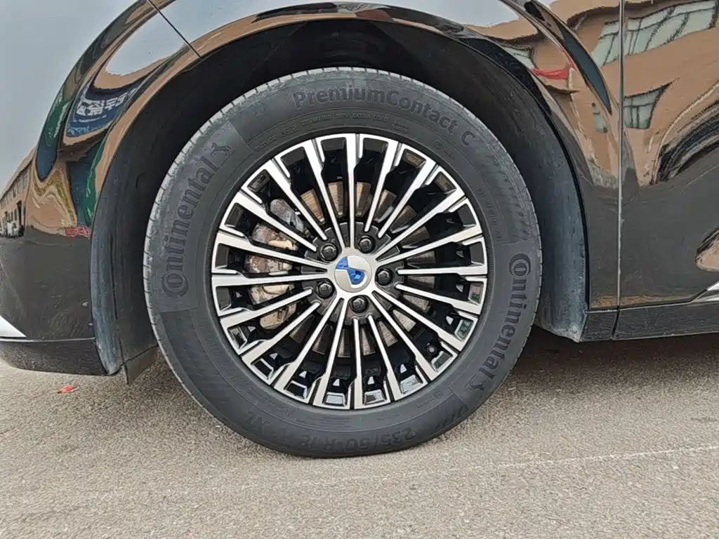 Denza Denza D9 — миниатюра 23