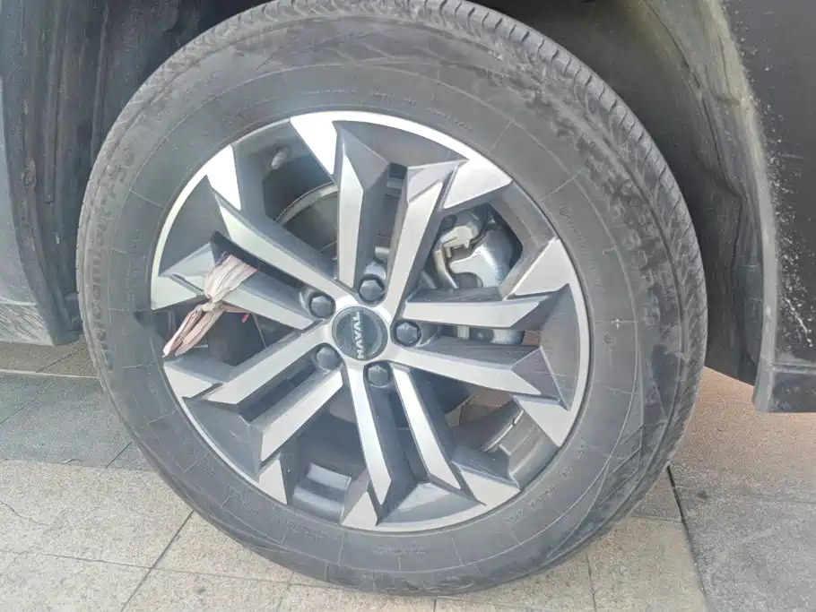 Haval Big Dog PLUS — миниатюра 6
